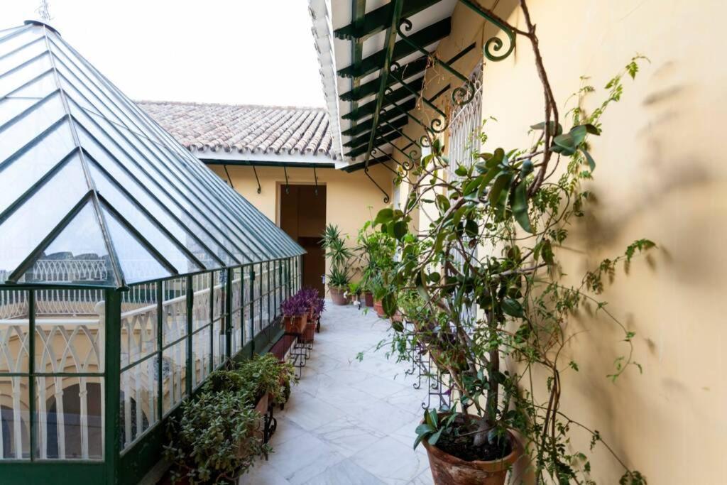 Apartamento Tranquilo Y Con Encanto En Palacio Sevillano, Junto Catedral A Acond Y Wifi Séville