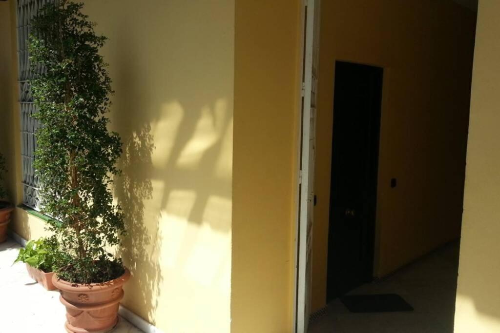 Apartamento Tranquilo Y Con Encanto En Palacio Sevillano, Junto Catedral A Acond Y Wifi Appartement Séville
