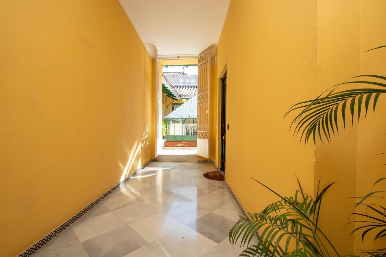 Apartamento Tranquilo Y Con Encanto En Palacio Sevillano, Junto Catedral A Acond Y Wifi *