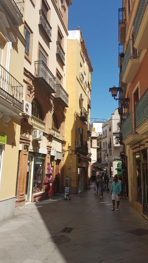 Apartamento Tranquilo Y Con Encanto En Palacio Sevillano, Junto Catedral A Acond Y Wifi