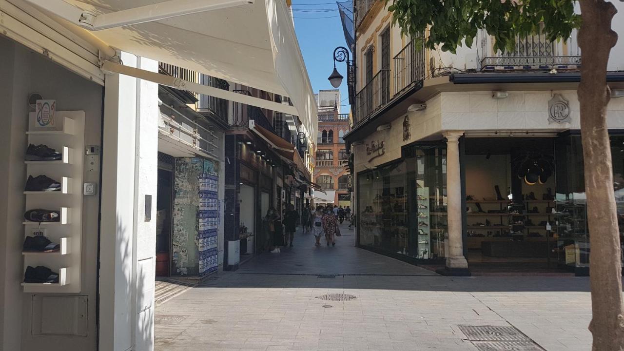 Apartamento Tranquilo Y Con Encanto En Palacio Sevillano, Junto Catedral A Acond Y Wifi