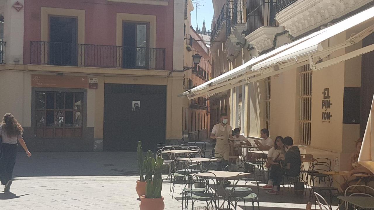Apartamento Tranquilo Y Con Encanto En Palacio Sevillano, Junto Catedral A Acond Y Wifi