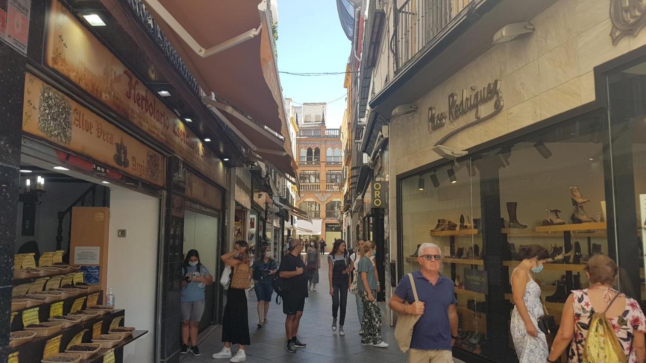 Apartamento Tranquilo Y Con Encanto En Palacio Sevillano, Junto Catedral A Acond Y Wifi Appartement Séville