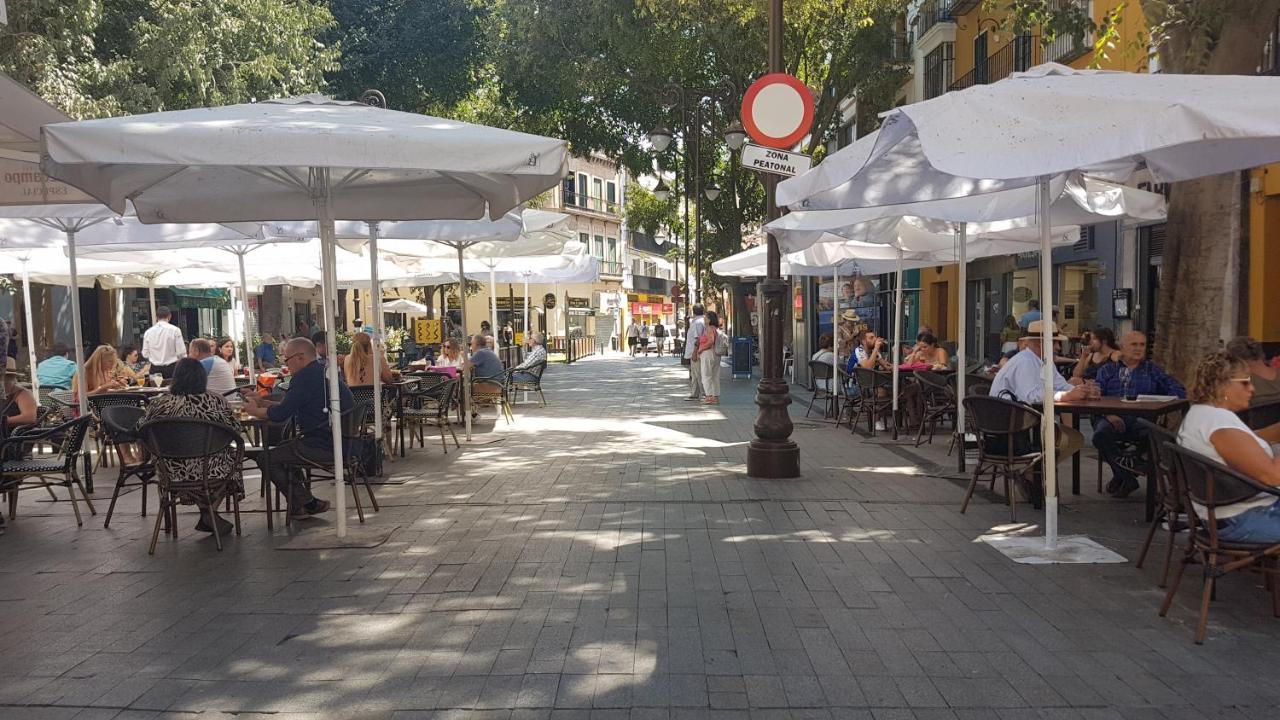 Apartamento Tranquilo Y Con Encanto En Palacio Sevillano, Junto Catedral A Acond Y Wifi Apartment *